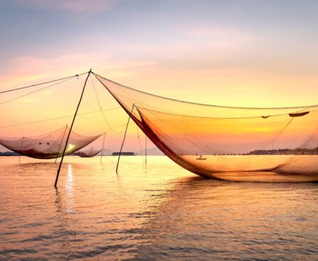 Traditional Chinese fishing nets at sunset along the coastal waters of Ernakulam, Kerala.
