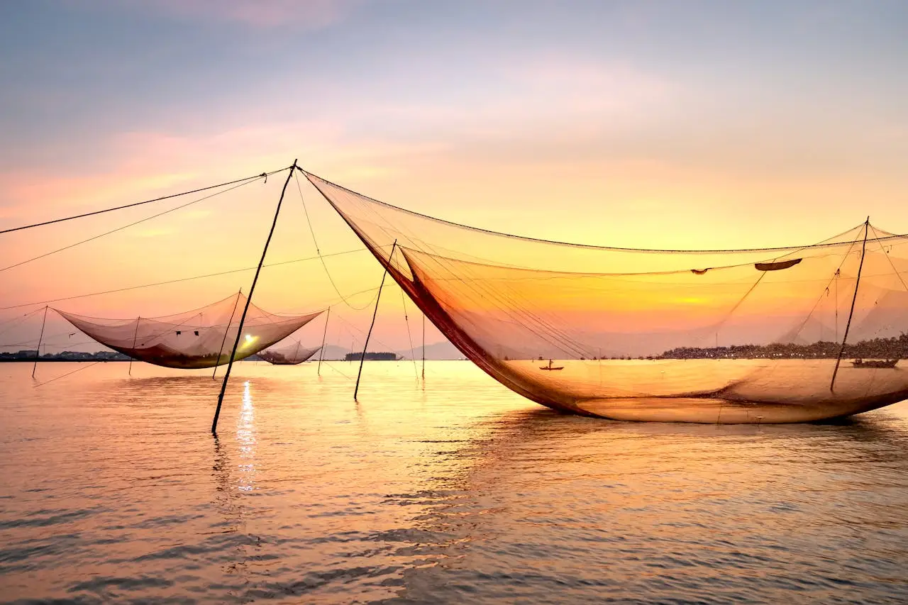 Traditional Chinese fishing nets at sunset along the coastal waters of Ernakulam, Kerala.