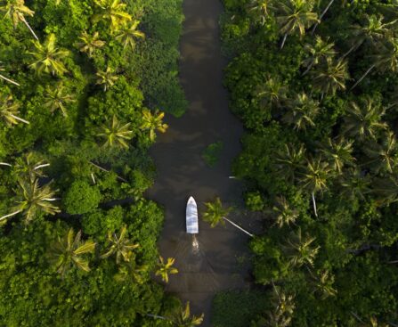Scenic beauty of Vembanad Kayal in Kottayam, Kerala, with tranquil backwaters and lush surroundings.