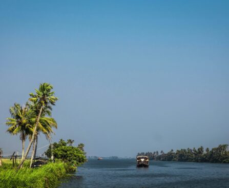 Scenic waterways of Alappuzha, Kerala, lined with lush greenery and traditional boats.