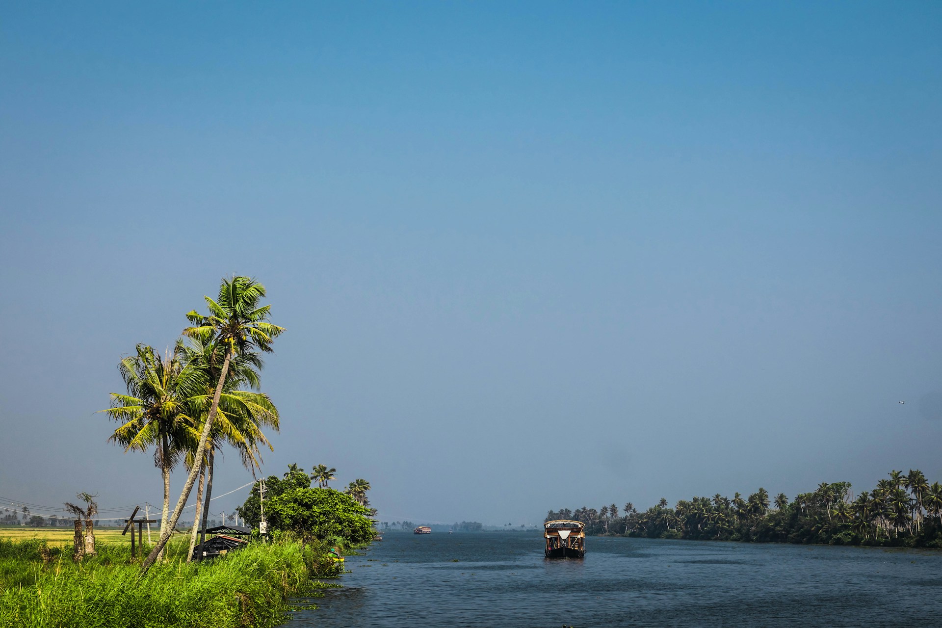 Scenic waterways of Alappuzha, Kerala, lined with lush greenery and traditional boats.