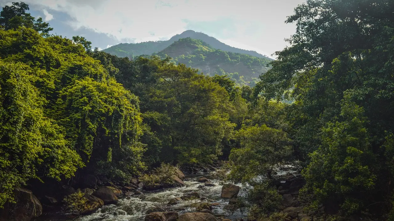 Scenic view of a lush green valley with a flowing river and misty mountains in Wayanad, Kerala.